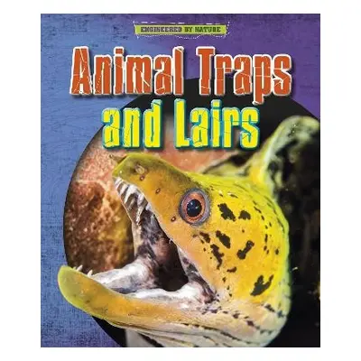 Animal Traps and Lairs - Spilsbury, Louise a Spilsbury, Richard