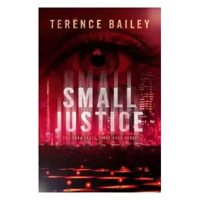 Small Justice - Bailey, Terence