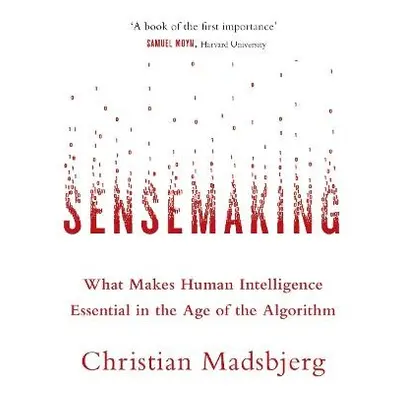 Sensemaking - Madsbjerg, Christian