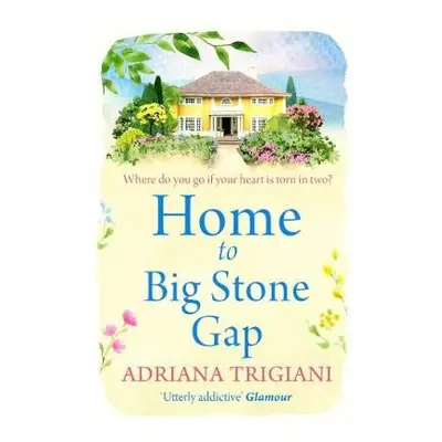 Home to Big Stone Gap - Trigiani, Adriana