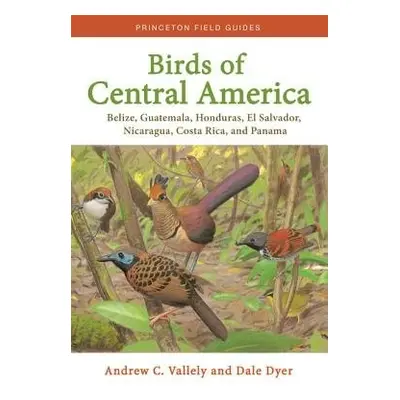 Birds of Central America - Vallely, Andrew a Dyer, Dale