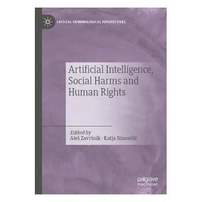 Artificial Intelligence, Social Harms and Human Rights