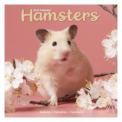 Hamsters Calendar 2025 Square Animal Wall Calendar - 16 Month