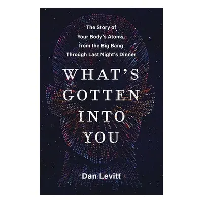 What's Gotten Into You - Levitt, Dan