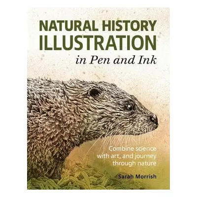 Natural History Illustration in Pen and Ink - Morrish, Sarah