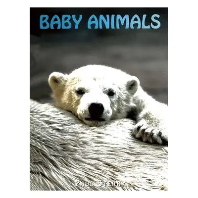 Baby Animals - Sterry, Paul