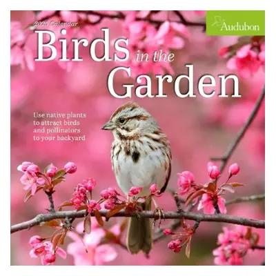 Audubon Birds in the Garden Wall Calendar 2025 - Society, National Audubon a Calendars, Workman