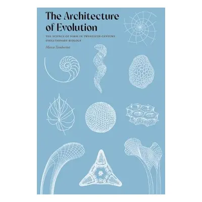 Architecture of Evolution - Tamborini, Marco