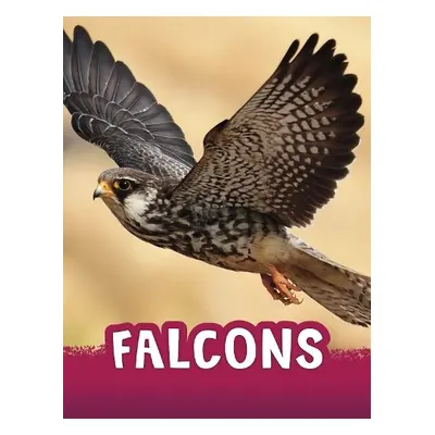 Falcons - Jaycox, Jaclyn