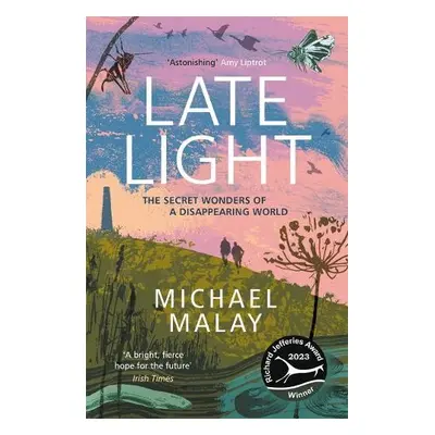 Late Light - Malay, Michael