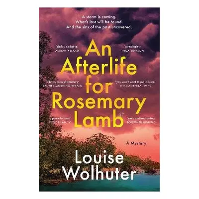 Afterlife for Rosemary Lamb - Wolhuter, Louise