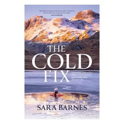 Cold Fix - Barnes, Sara