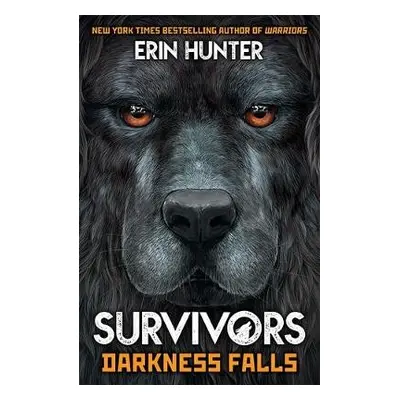 Survivors Book 3: Darkness Falls - Hunter, Erin