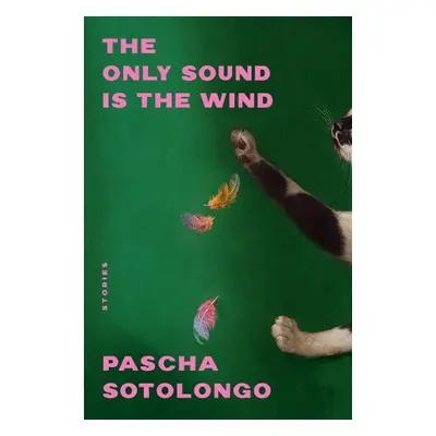 Only Sound Is the Wind - Sotolongo, Pascha