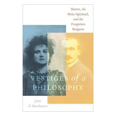 Vestiges of a Philosophy - O Maoilearca, John (Honorary professor, Honorary professor, Kingston 