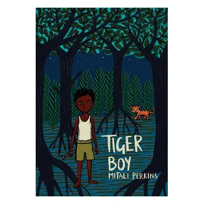 Tiger Boy - Perkins, Mitali