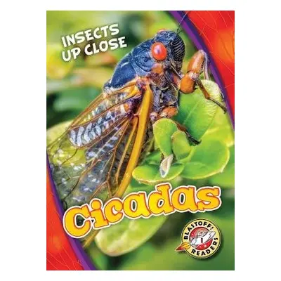 Cicadas - Leaf, Christina