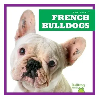 French Bulldogs - Spanier, Kristine