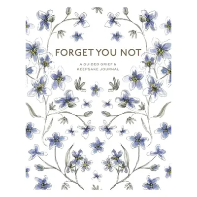 Forget You Not - Desantis, Brittany