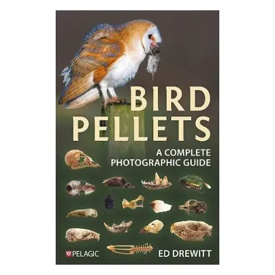 Bird Pellets - Drewitt, Ed