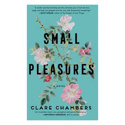 Small Pleasures - Chambers, Clare