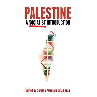 Palestine: A Socialist Introduction