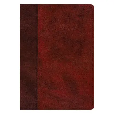 ESV Single Column Journaling Bible, Large Print