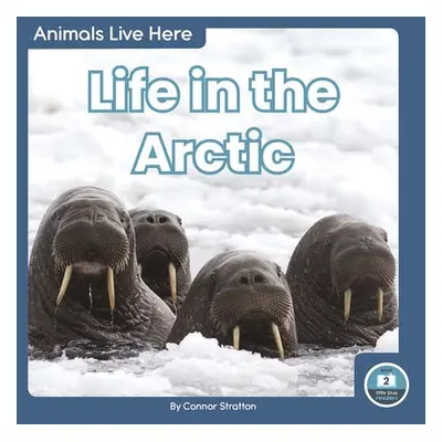 Animals Live Here: Life in the Arctic - Stratton, Connor