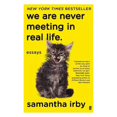 We Are Never Meeting in Real Life - Irby, Samantha