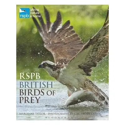 RSPB British Birds of Prey - Taylor, Marianne