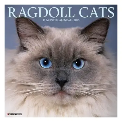 Ragdoll Cats 2025 12 X 12 Wall Calendar - Willow Creek Press