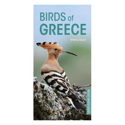 Birds of Greece - Nason, Rebecca