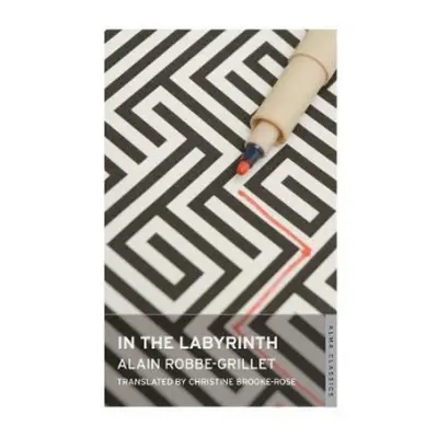 In the Labyrinth - Robbe-Grillet, Alain