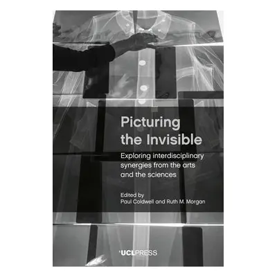 Picturing the Invisible