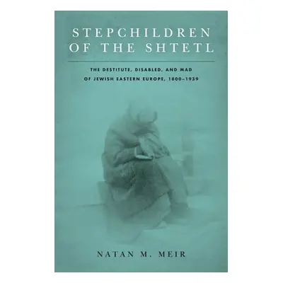 Stepchildren of the Shtetl - Meir, Natan M.