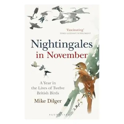 Nightingales in November - Dilger, Mike