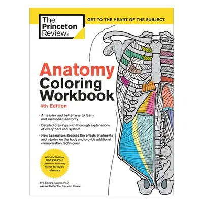 Anatomy Coloring Workbook, 4th Edition - The Princeton Review a Alcamo, Edward