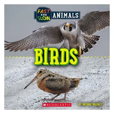 Birds (Wild World: Fast and Slow Animals)