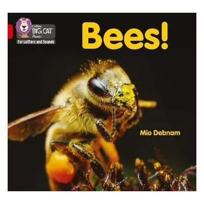 Bees! - Debnam, Mio