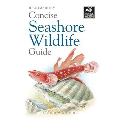 Concise Seashore Wildlife Guide - Bloomsbury