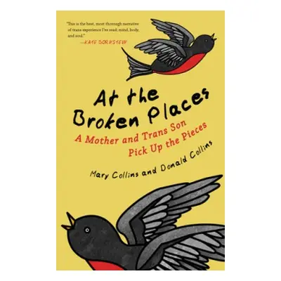 At the Broken Places - Collins, Mary a Collins, Donald