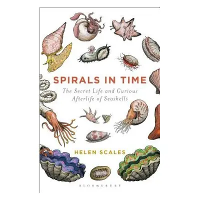 Spirals in Time - Scales, Helen