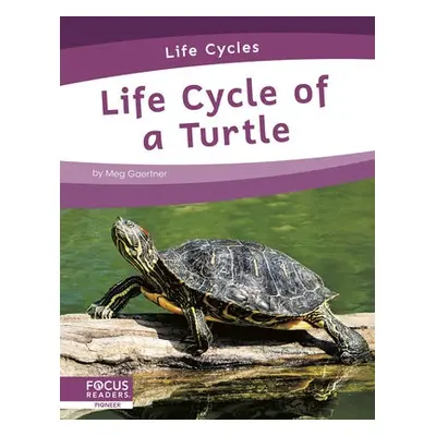 Life Cycles: Life Cycle of a Turtle - Gaertner, Meg