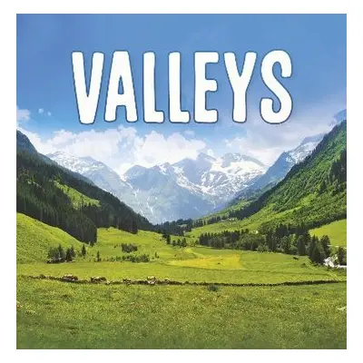 Valleys - Amstutz, Lisa J.