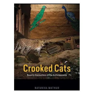 Crooked Cats - Mathur, Nayanika