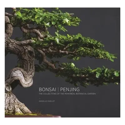 Bonsai | Penjing - Ouellet, Danielle