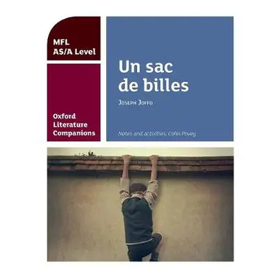 Oxford Literature Companions: Un sac de billes: study guide for AS/A Level French set text - Pov