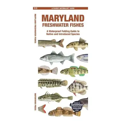 Maryland Freshwater Fishes - Matthew Morris, Matthew Morris