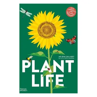 Plant Life - Druvert, Helene