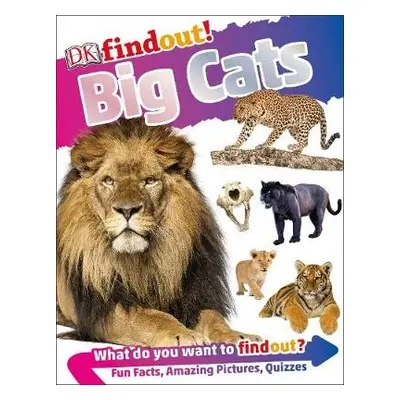 DKfindout! Big Cats - DK